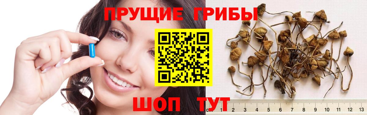 Галлюциногенные грибы GOLDEN TEACHER  Вход с VPN  Лабытнанги 